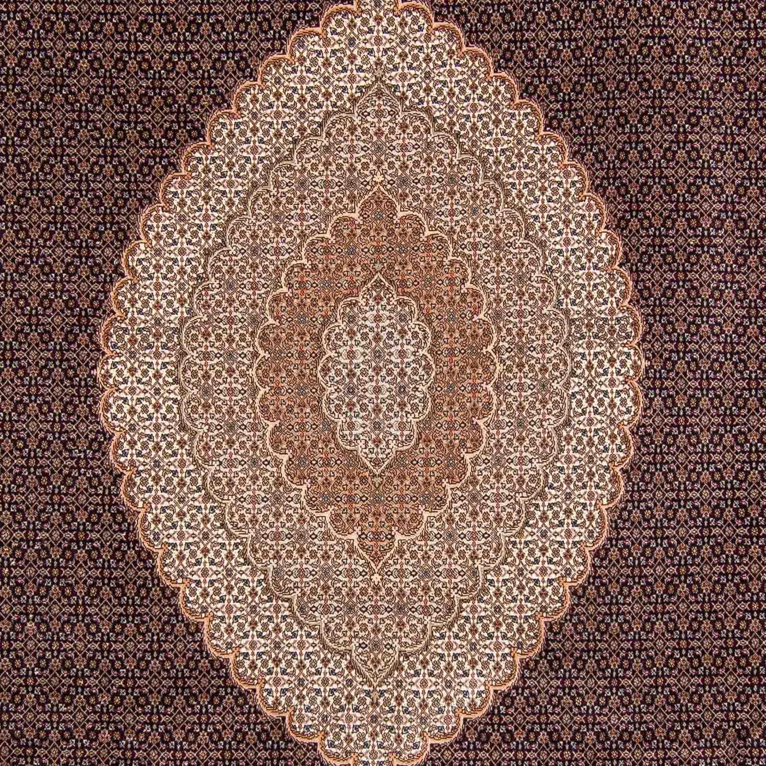Alfombra persa - Tabriz - 352 x 252 cm - marrón claro