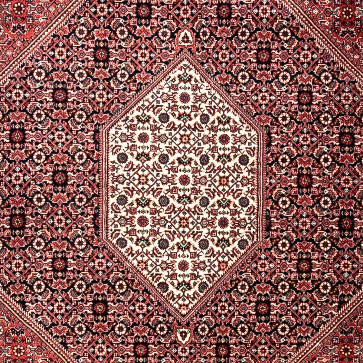 Alfombra persa - Bidjar - 346 x 252 cm - rojo