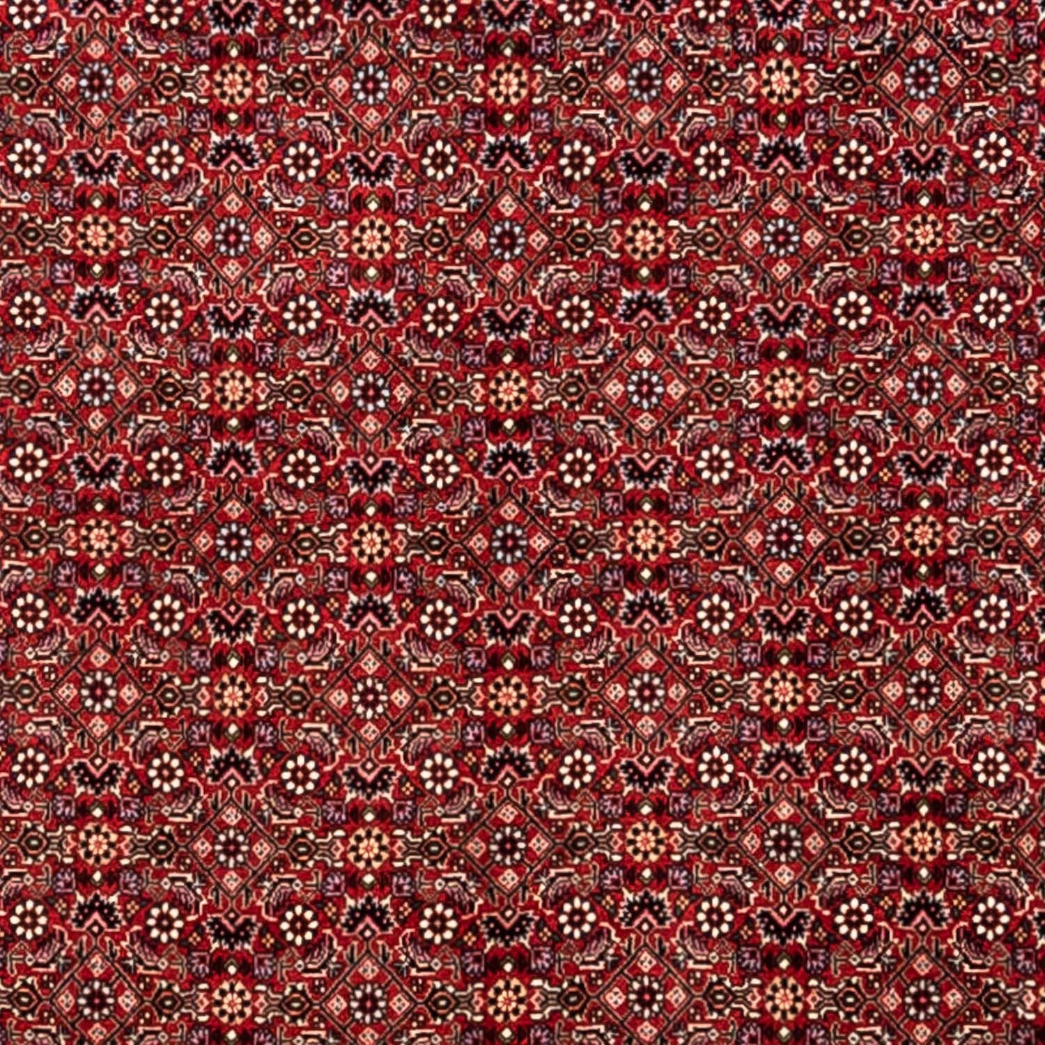 Alfombra persa - Bidjar - 340 x 248 cm - rojo
