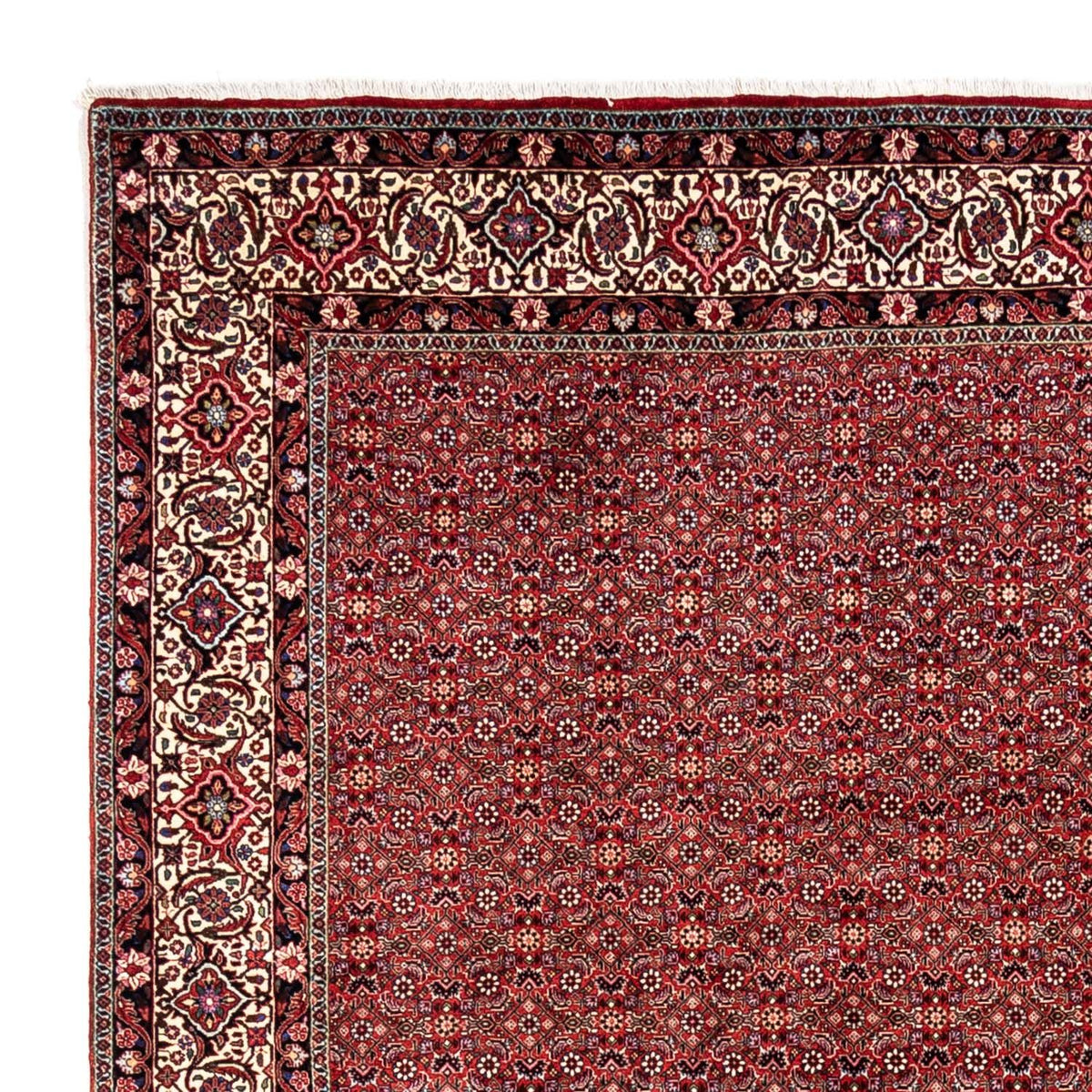 Alfombra persa - Bidjar - 340 x 248 cm - rojo