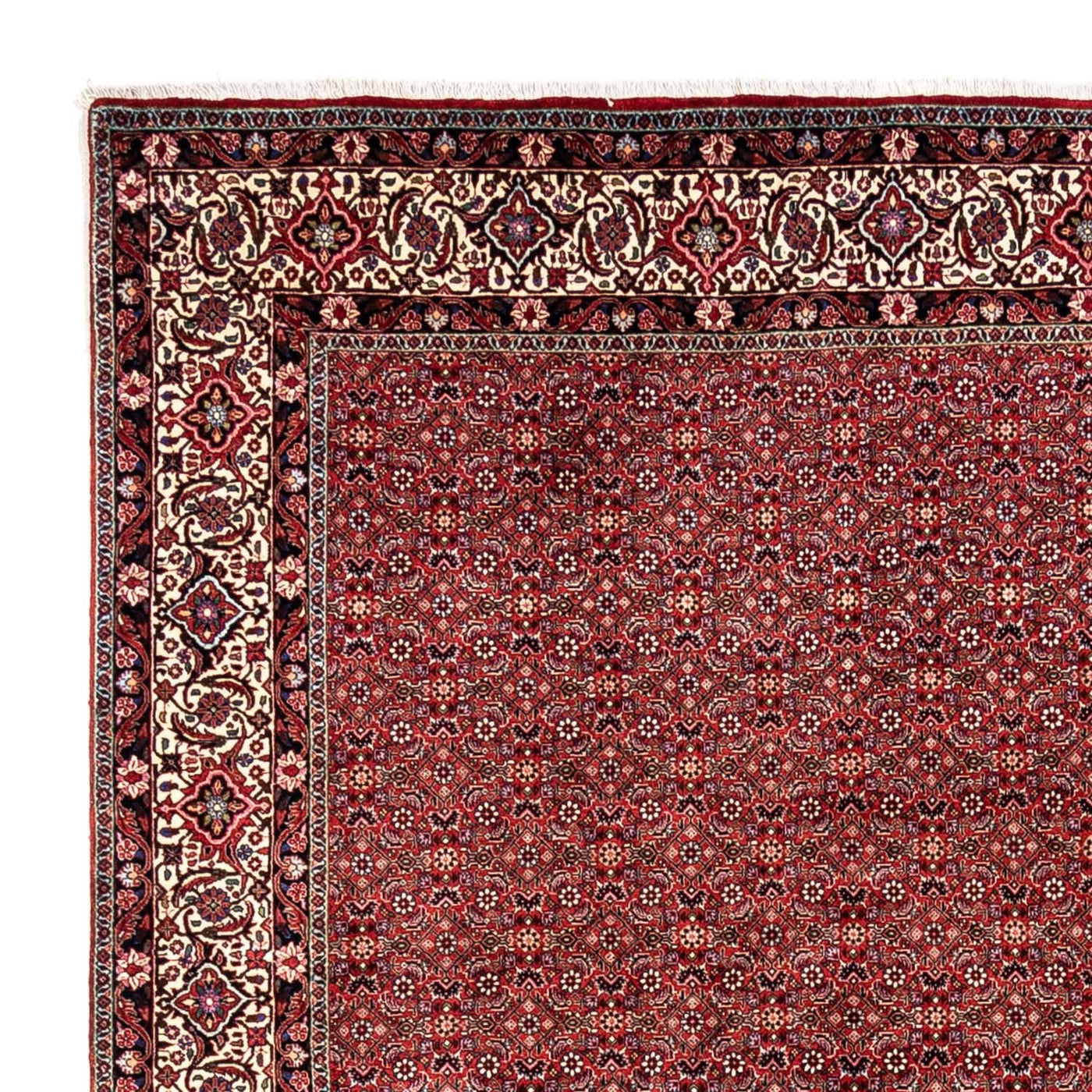 Bidjar - Takab Alfombra 340x248cm - Alfombra persa