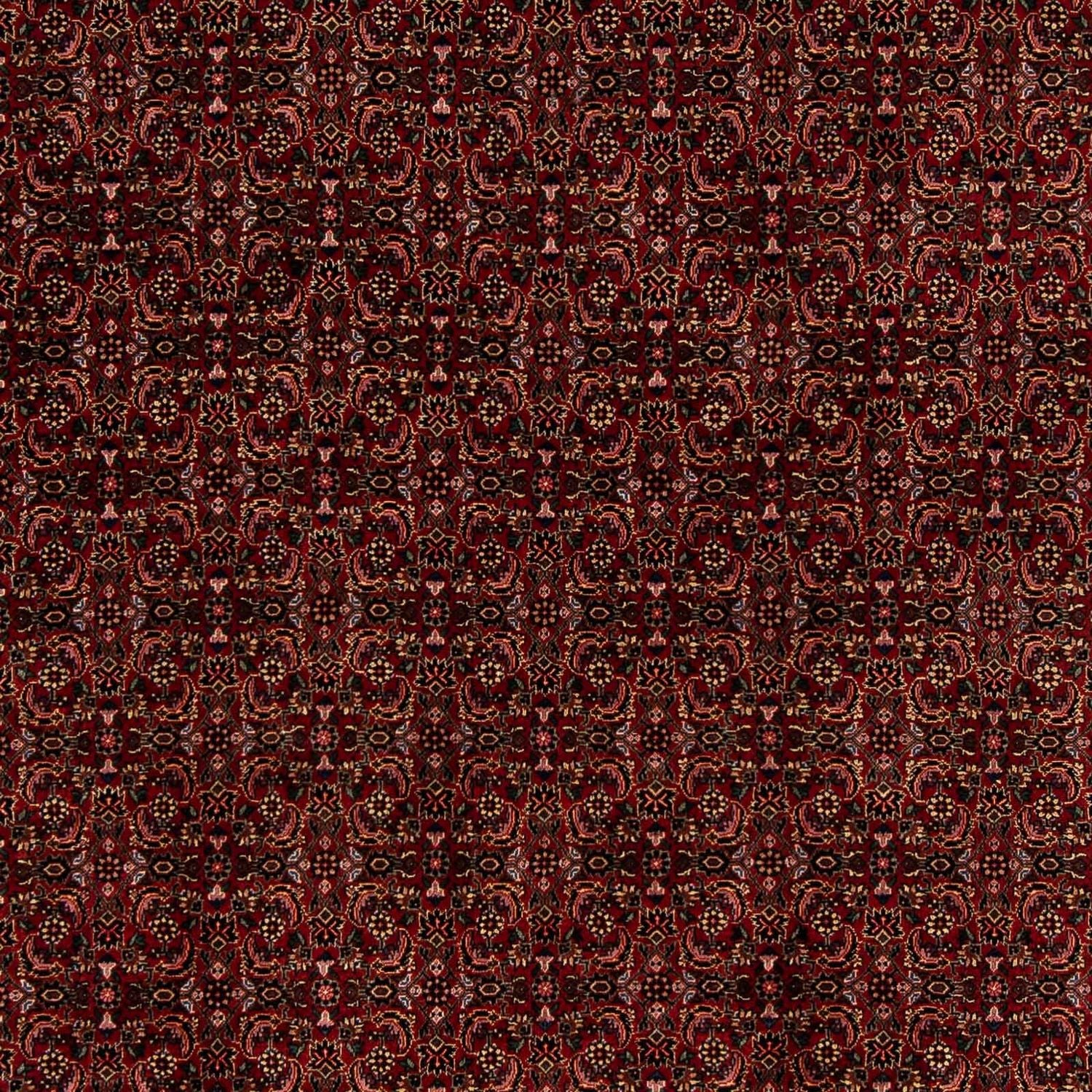 Alfombra persa - Bidjar - 249 x 202 cm - rojo oscuro