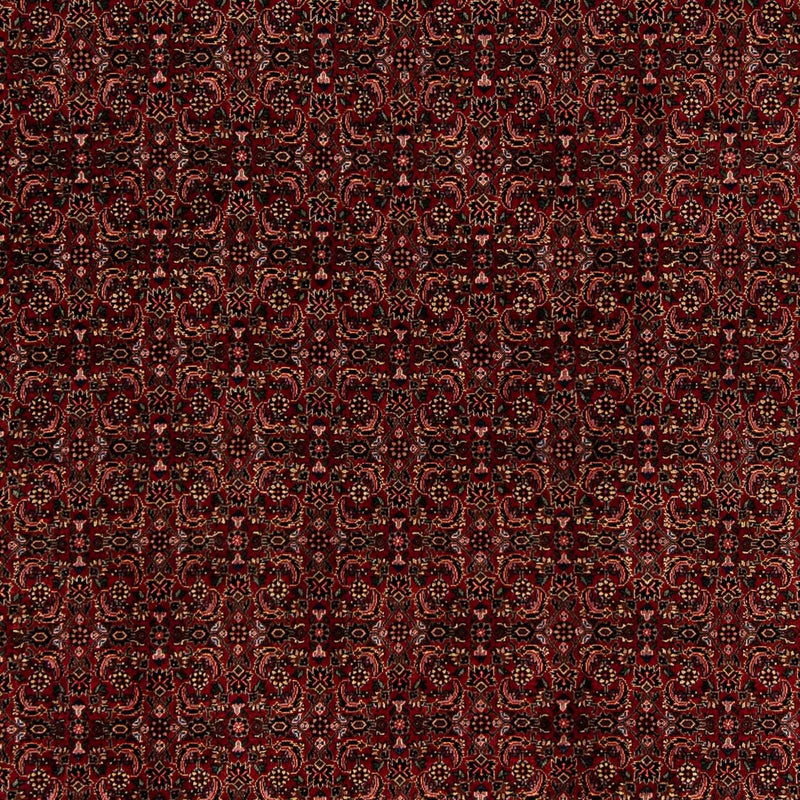 Alfombra persa - Bidjar - 249 x 202 cm - rojo oscuro