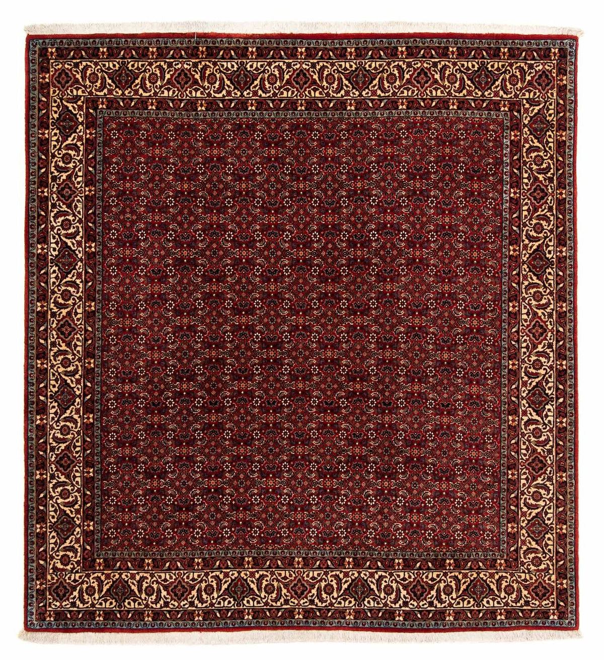 Alfombra persa - Bidjar cuadrado  - 207 x 200 cm - rojo oscuro