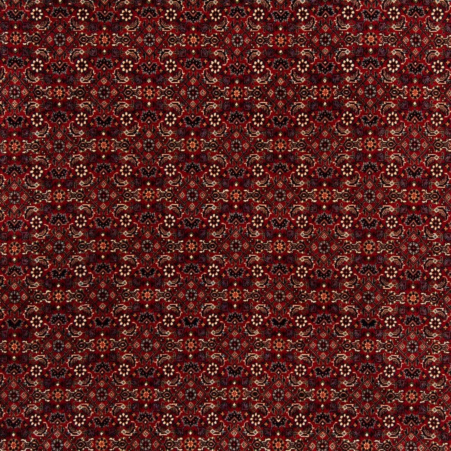 Alfombra persa - Bidjar cuadrado  - 207 x 200 cm - rojo oscuro