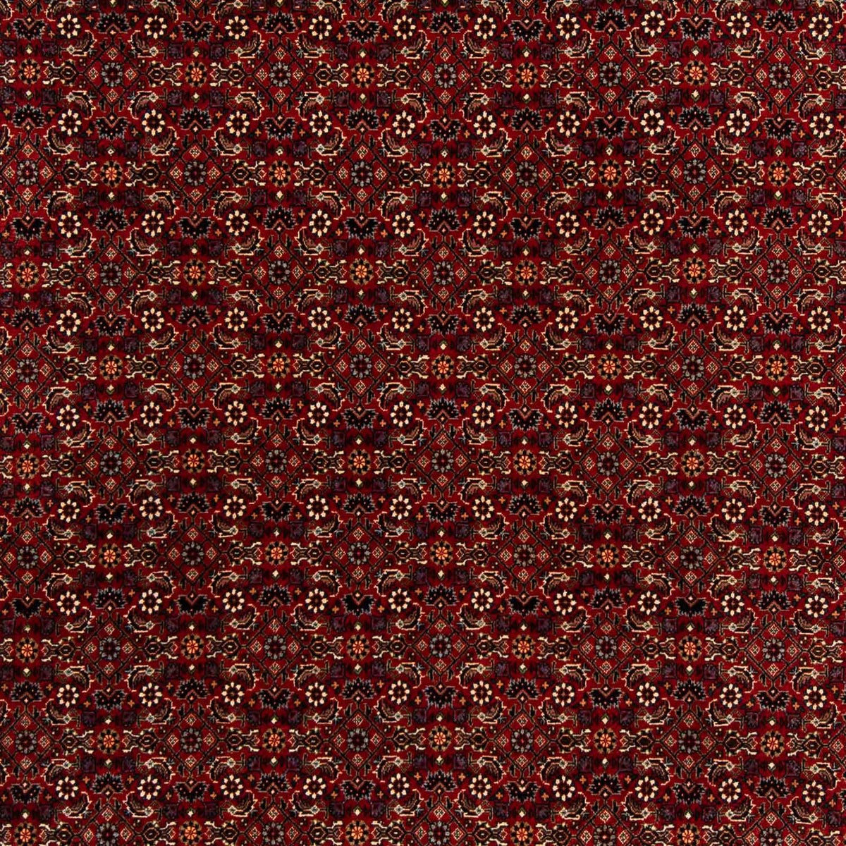 Alfombra persa - Bidjar cuadrado  - 207 x 200 cm - rojo oscuro