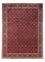 Alfombra persa - Bidjar - 337 x 252 cm - rojo