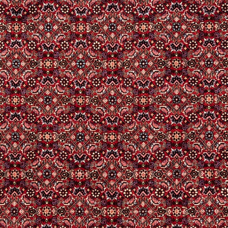 Alfombra persa - Bidjar - 337 x 252 cm - rojo
