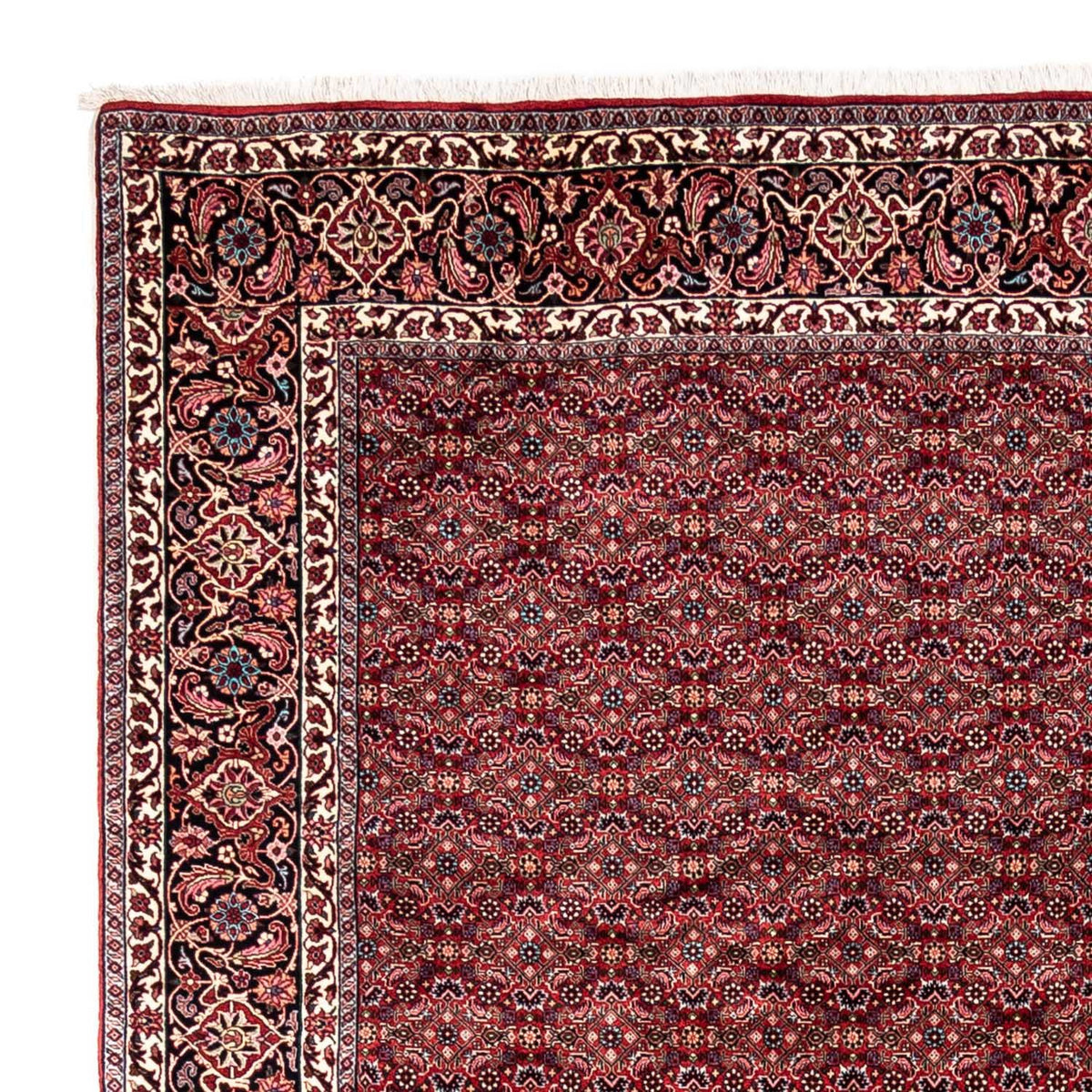 Alfombra persa - Bidjar - 337 x 252 cm - rojo