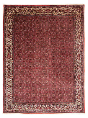 Alfombra persa - Bidjar - 338 x 258 cm - rojo