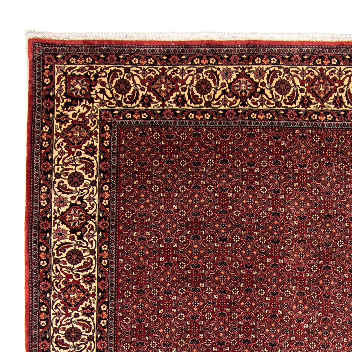 Bidjar Alfombra 258x338cm - Alfombra persa