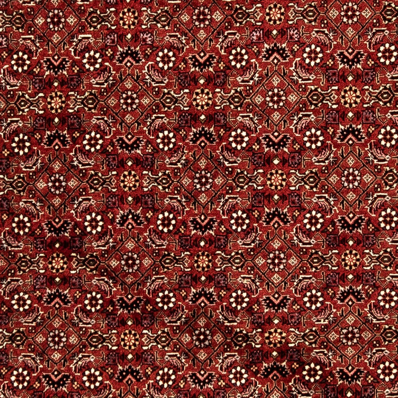 Alfombra de pasillo Alfombra persa - Bidjar - 288 x 85 cm - multicolor