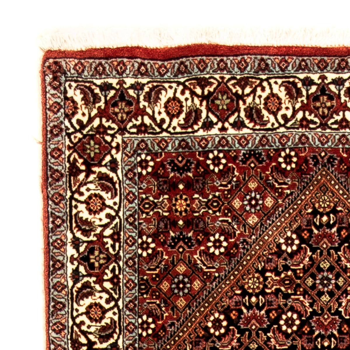 Alfombra de pasillo Alfombra persa - Bidjar - 313 x 82 cm - marrón