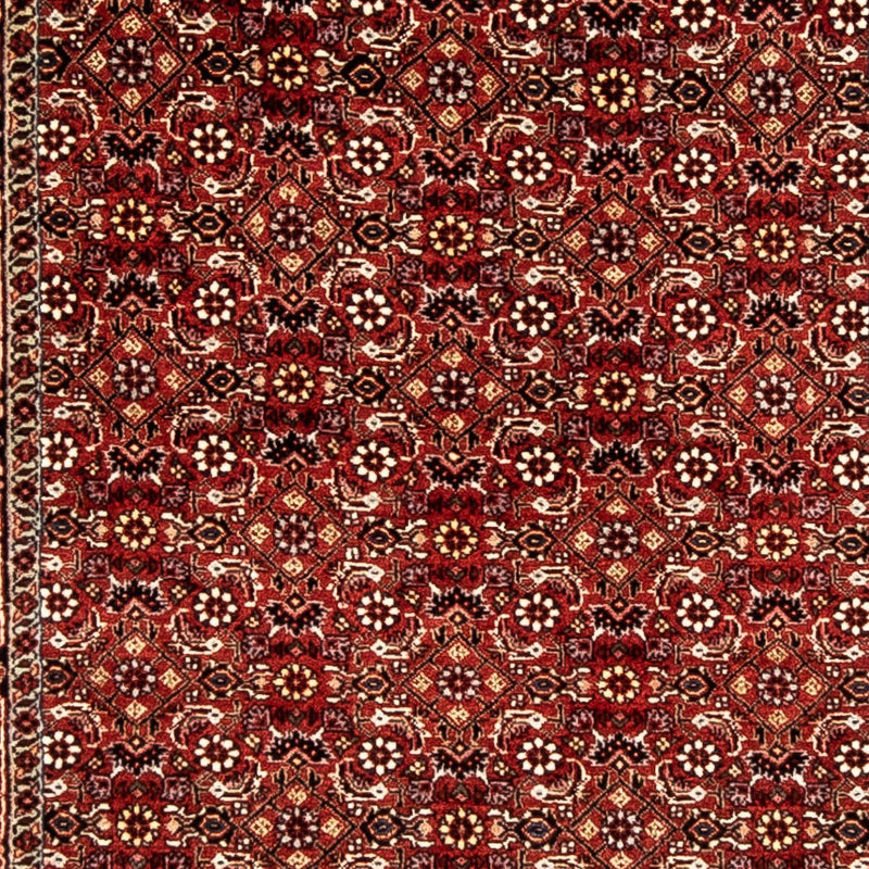 Alfombra de pasillo Alfombra persa - Bidjar - 298 x 80 cm - rojo oscuro