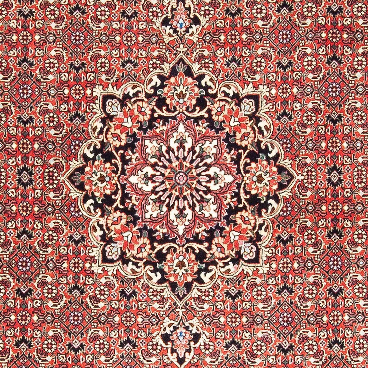Alfombra persa - Bidjar - 182 x 110 cm - rojo