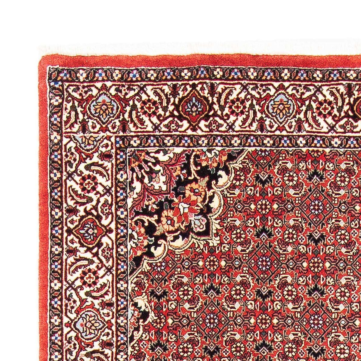 Alfombra persa - Bidjar - 182 x 110 cm - rojo