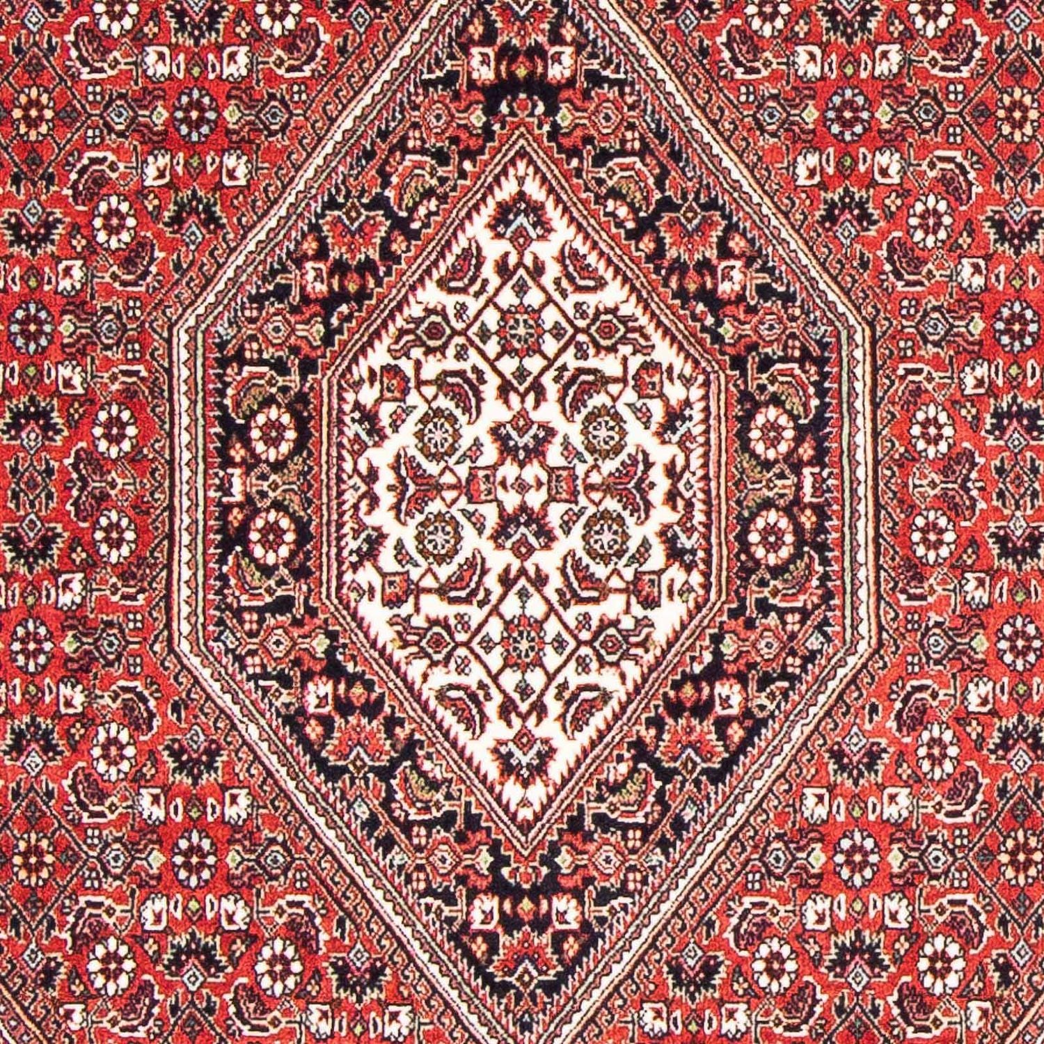 Alfombra persa - Bidjar - 176 x 110 cm - rojo
