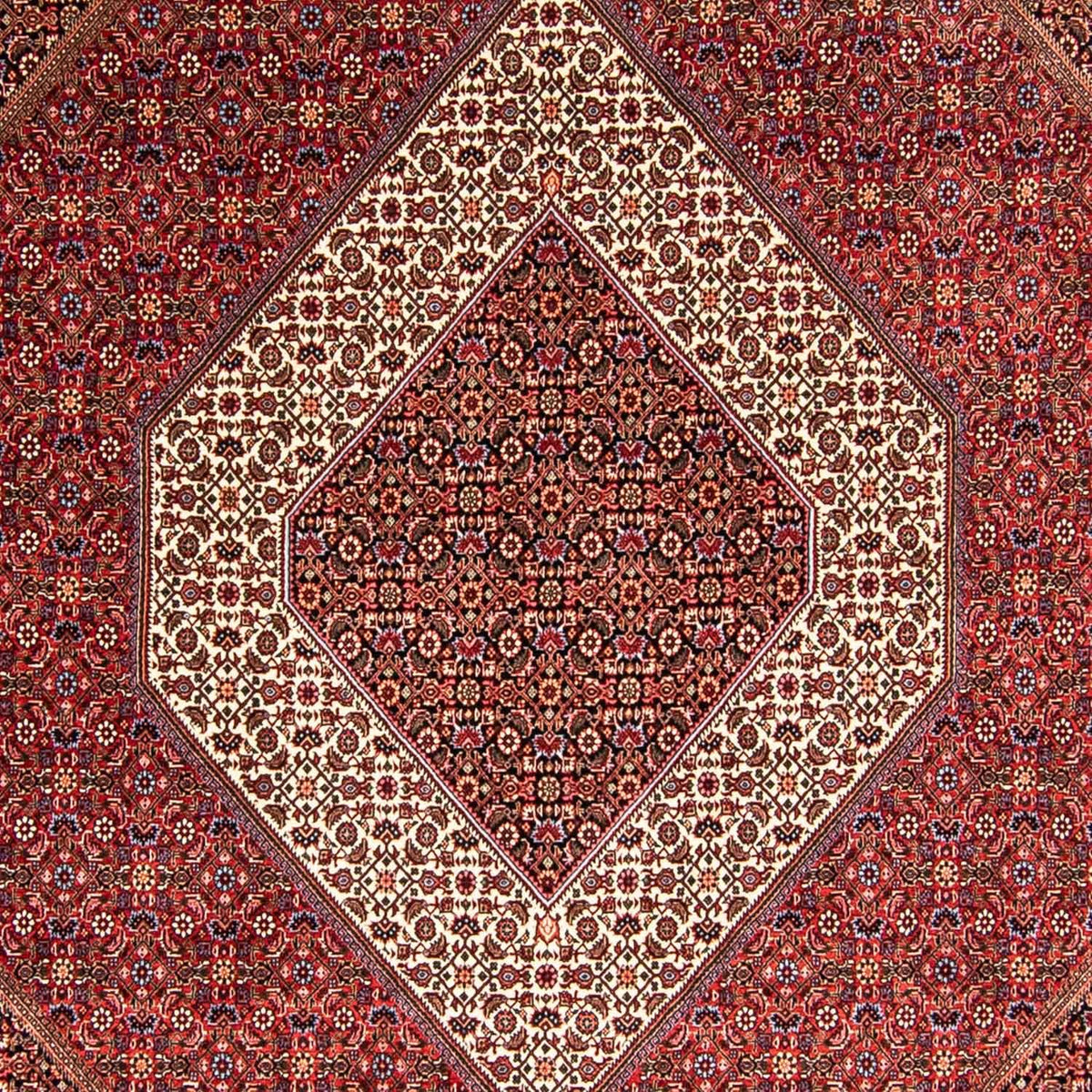 Alfombra persa - Bidjar - 345 x 252 cm - rojo
