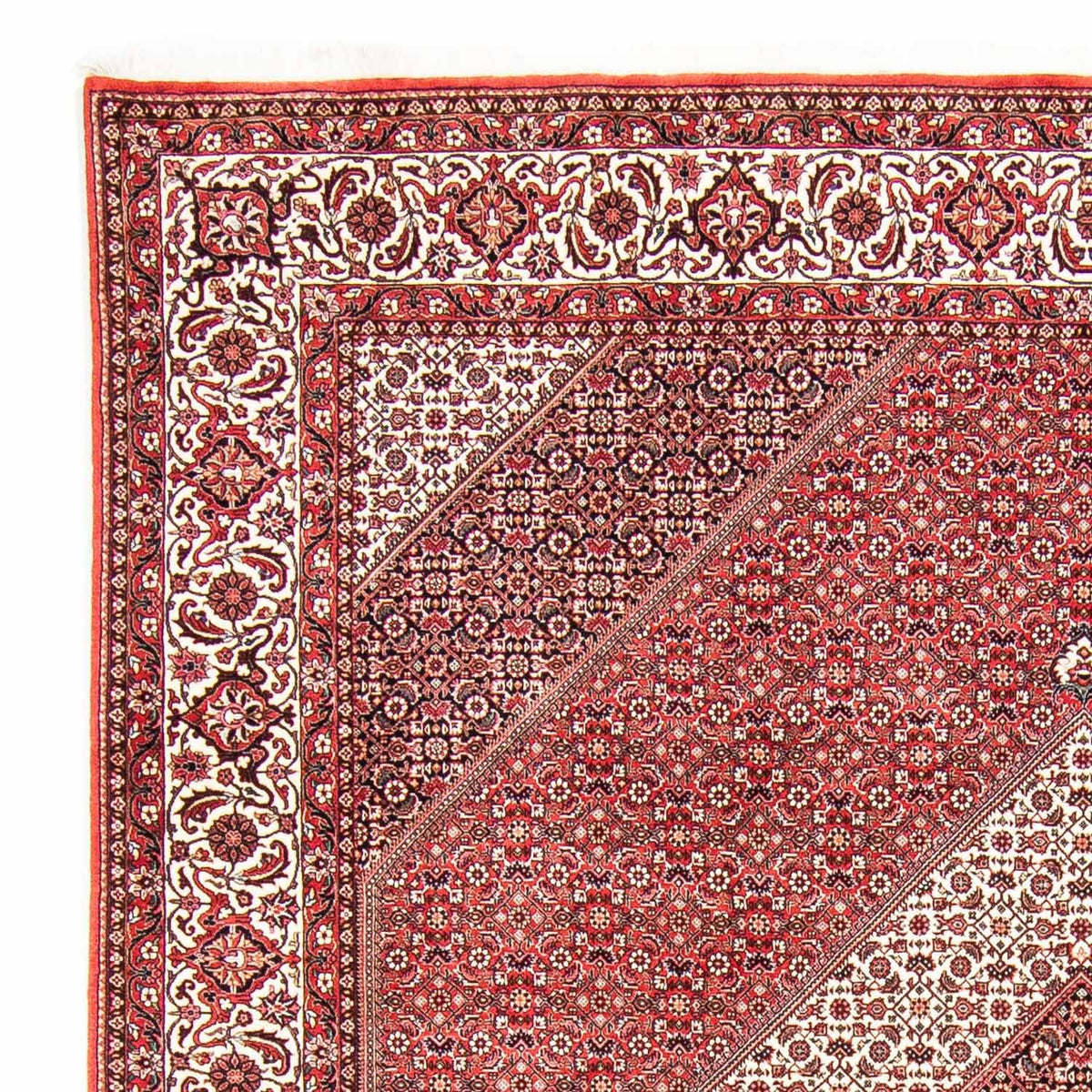 Alfombra persa - Bidjar - 312 x 256 cm - rojo claro