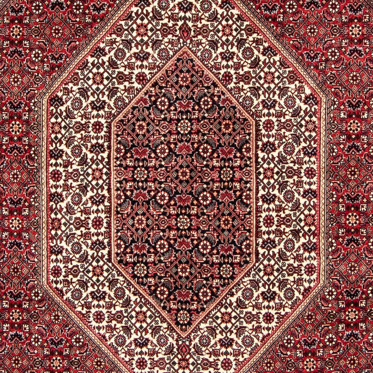 Alfombra persa - Bidjar - 250 x 171 cm - rojo oscuro