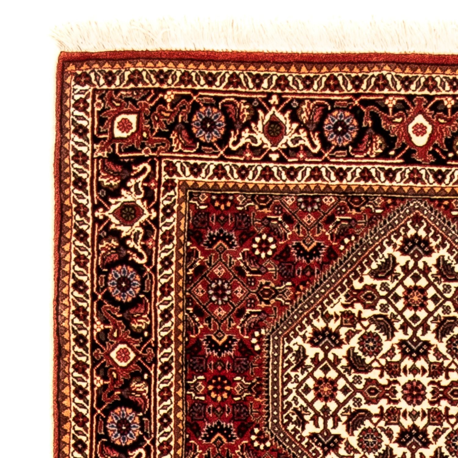 Alfombra de pasillo Alfombra persa - Bidjar - 304 x 81 cm - multicolor