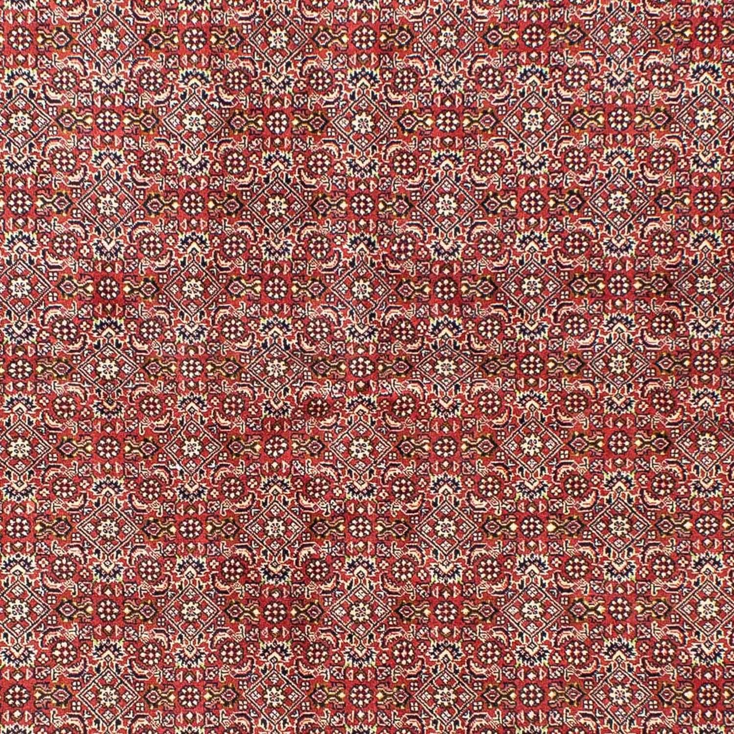 Alfombra persa - Bidjar - 245 x 170 cm - rojo claro