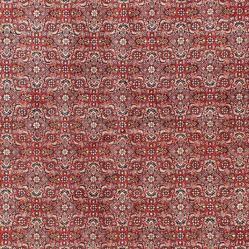 Alfombra persa - Bidjar - 245 x 170 cm - rojo claro
