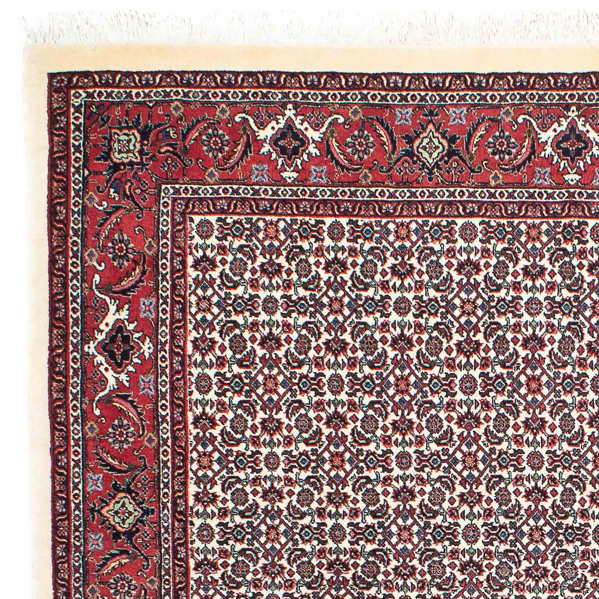 Bidjar Alfombra 147x208cm - Alfombra persa