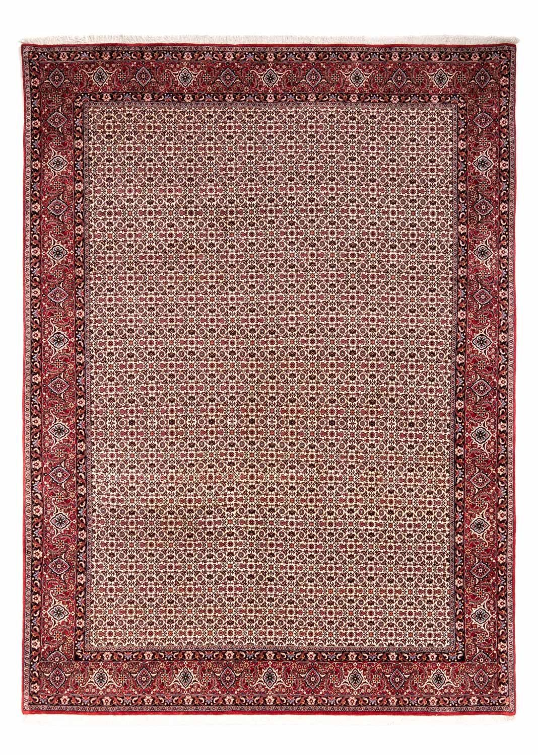 Alfombra persa - Bidjar - 343 x 253 cm - beige