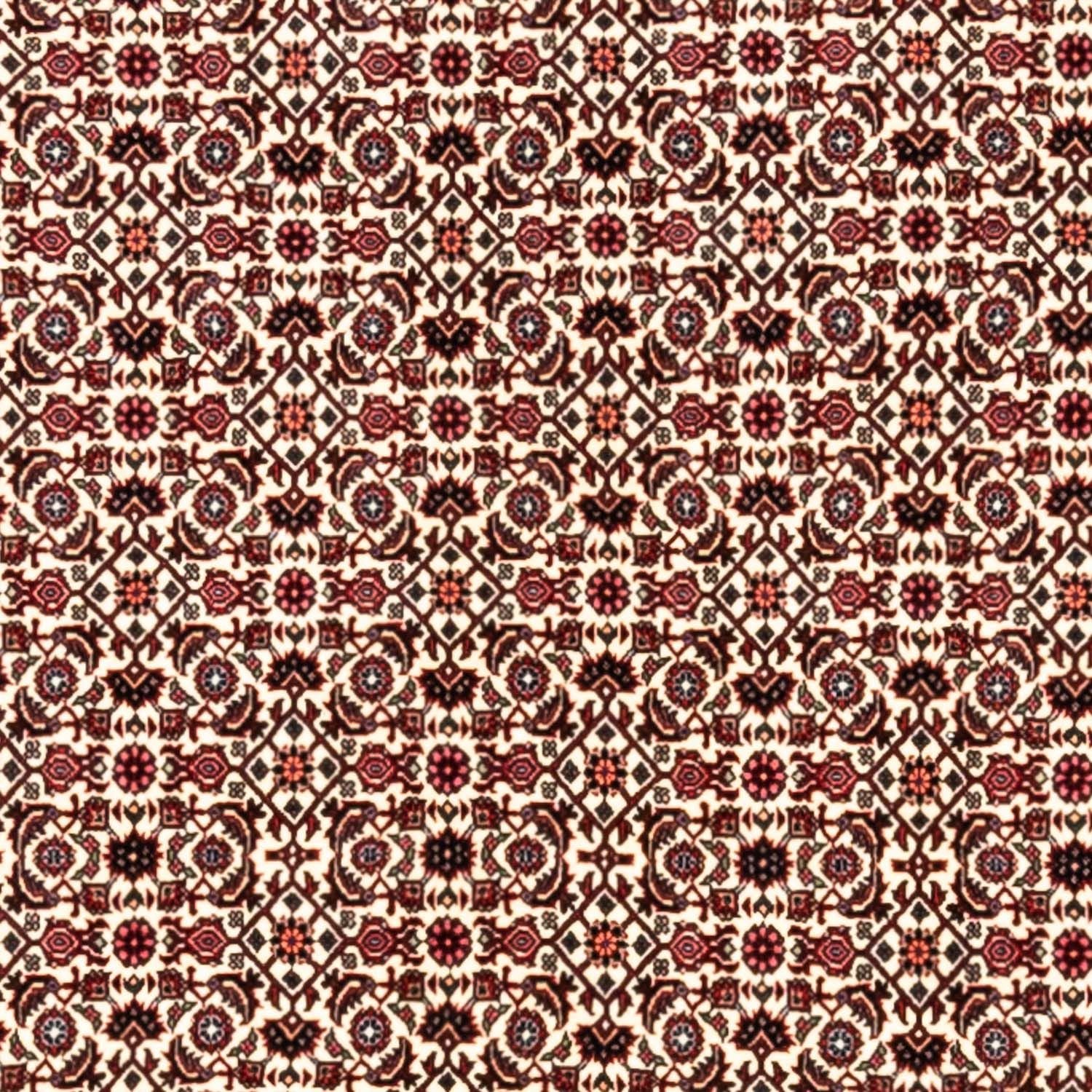 Alfombra persa - Bidjar - 343 x 253 cm - beige