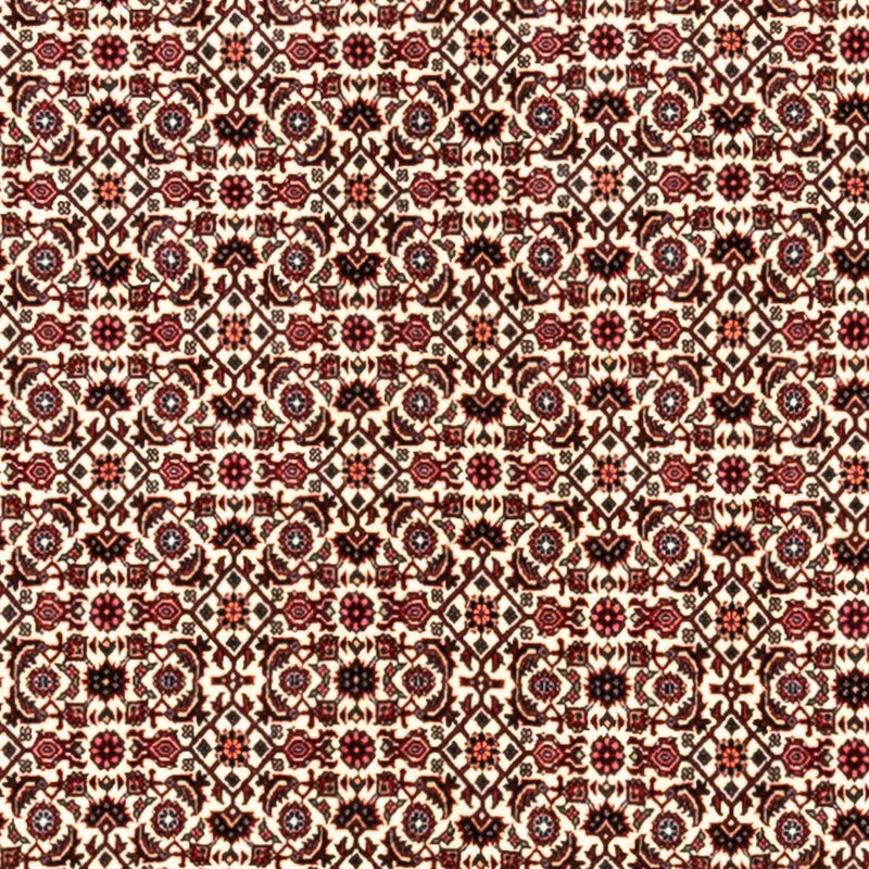 Alfombra persa - Bidjar - 343 x 253 cm - beige