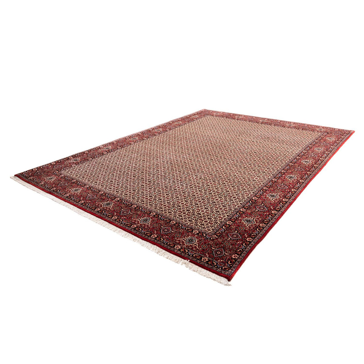 Alfombra persa - Bidjar - 343 x 253 cm - beige