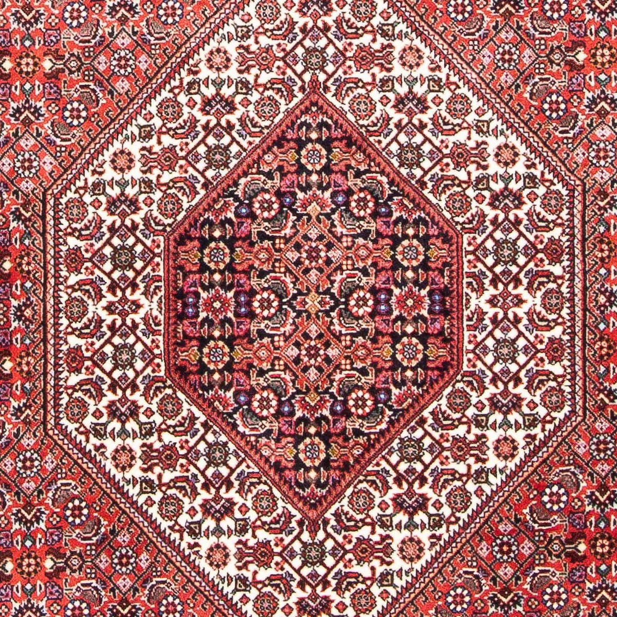 Alfombra persa - Bidjar - 180 x 111 cm - rojo claro