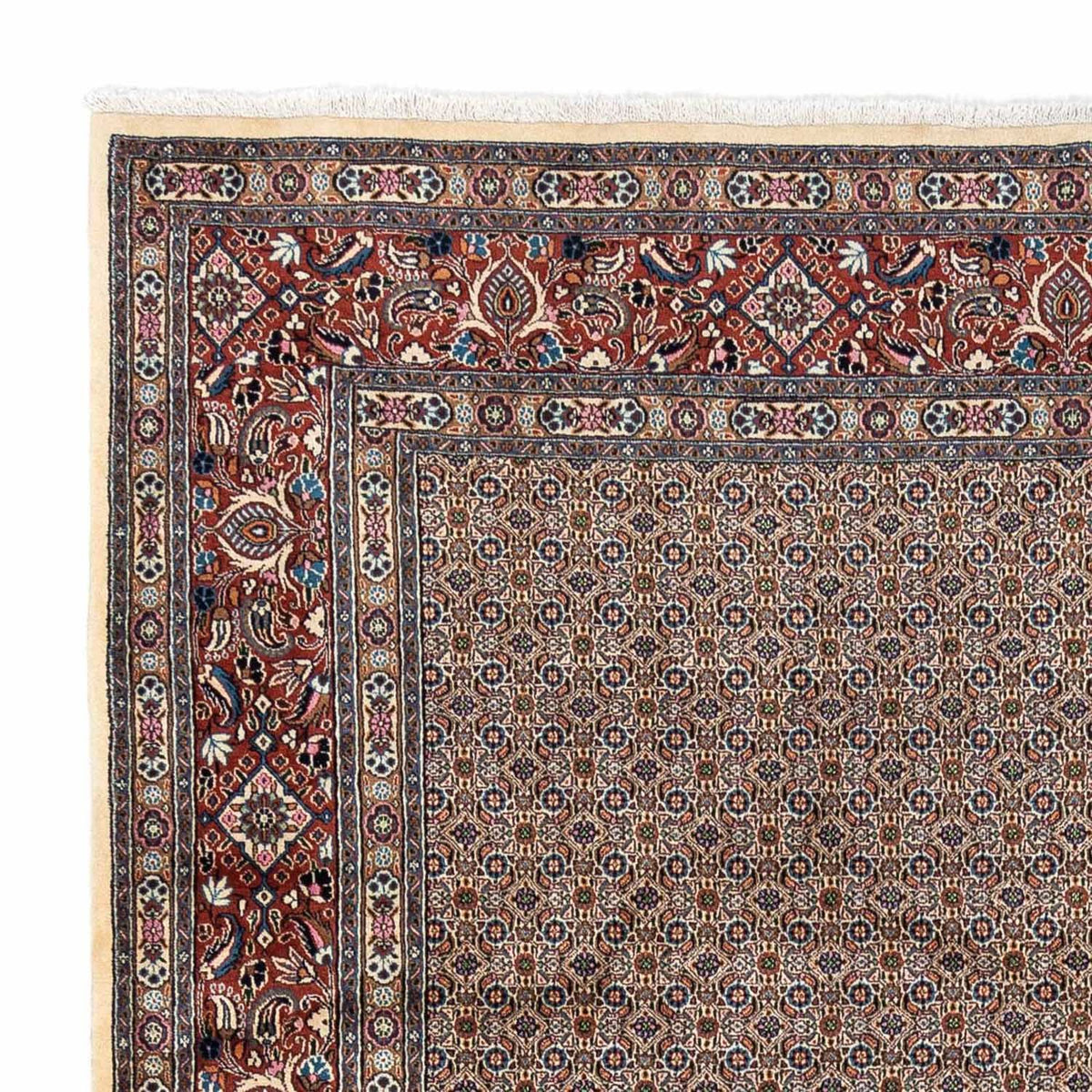 Moud Alfombra 250x342cm - Alfombra persa