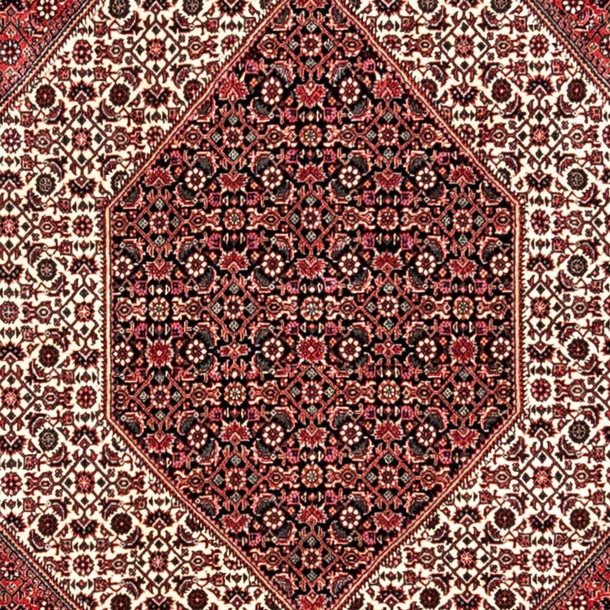 Alfombra persa - Bidjar - 350 x 252 cm - rojo