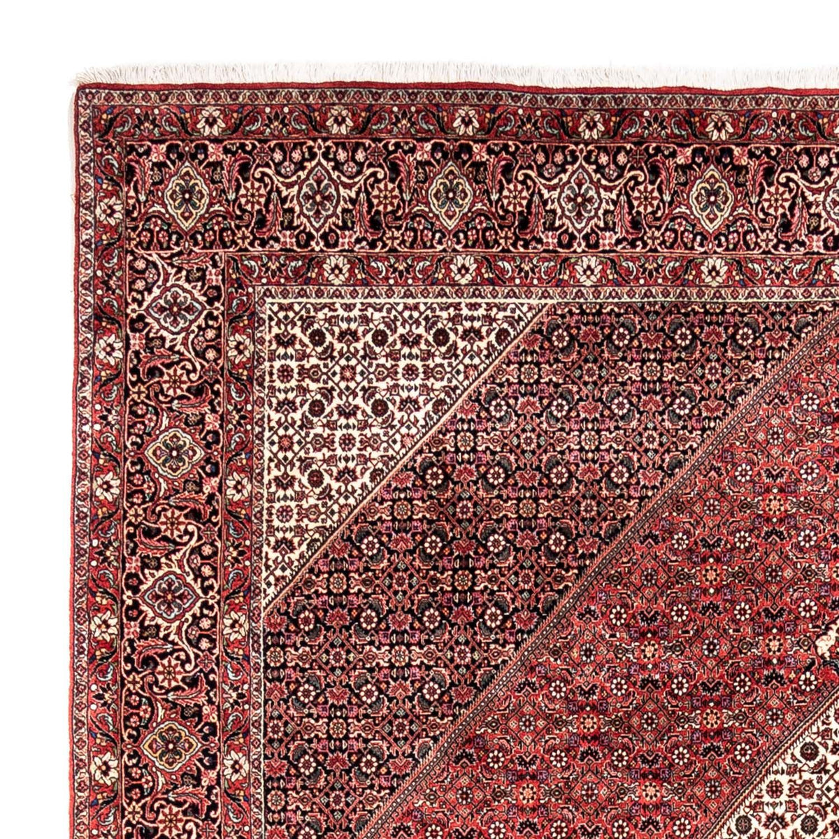 Alfombra persa - Bidjar - 350 x 252 cm - rojo