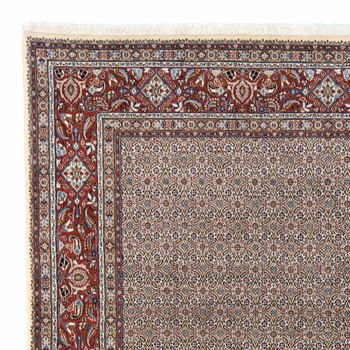 Alfombra persa - Clásica - 334 x 248 cm - beige