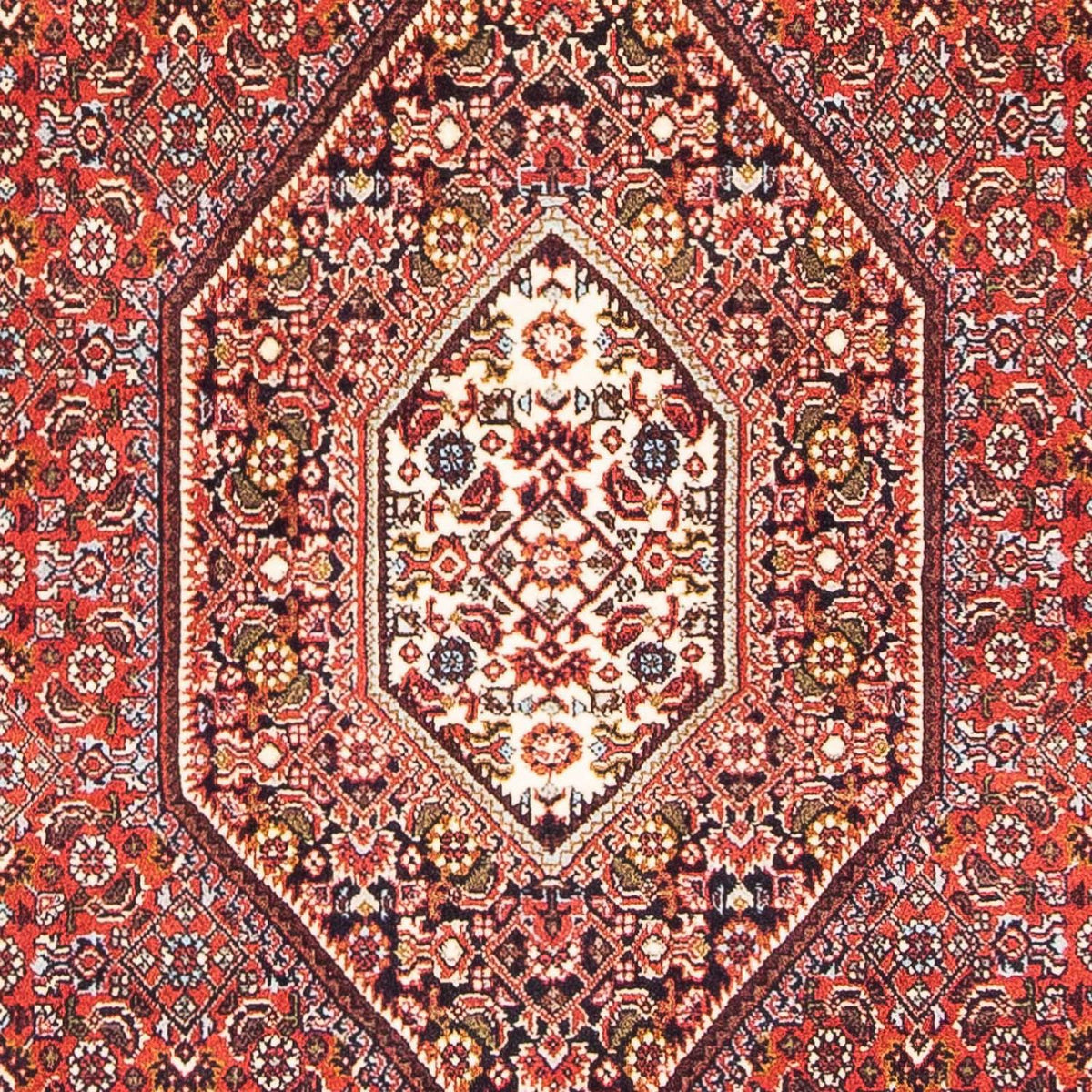 Alfombra persa - Bidjar - 190 x 110 cm - rojo