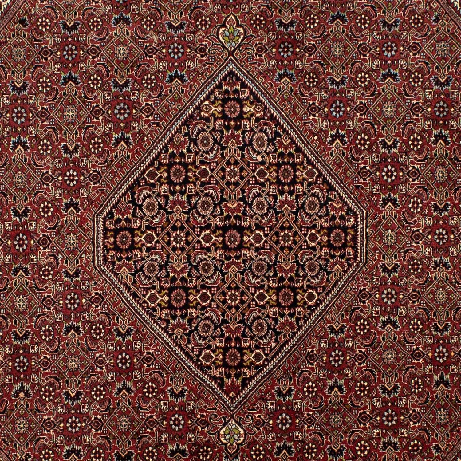 Alfombra persa - Bidjar - 295 x 200 cm - marrón