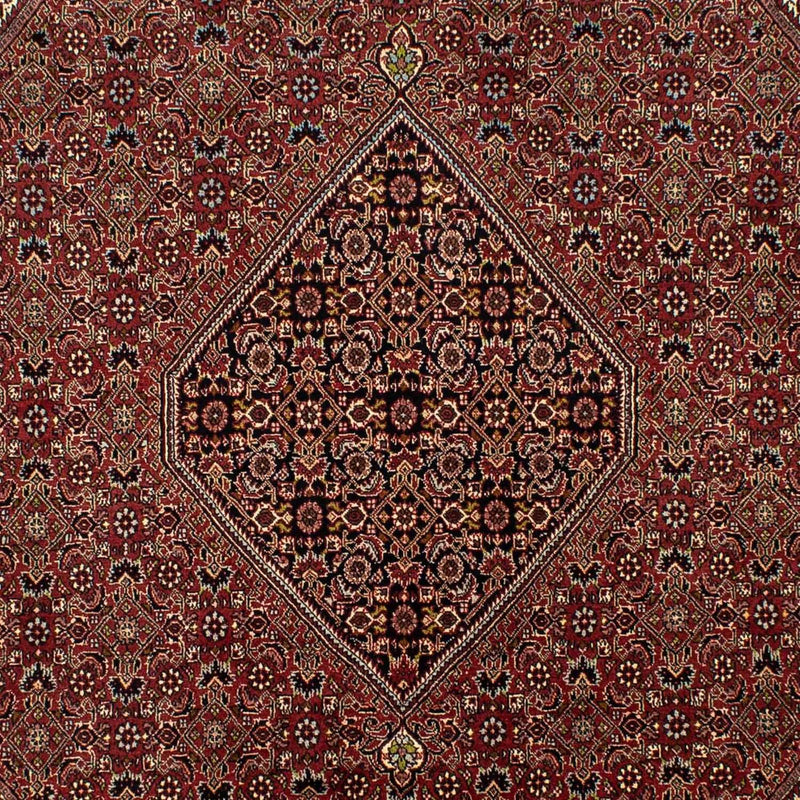 Alfombra persa - Bidjar - 295 x 200 cm - marrón