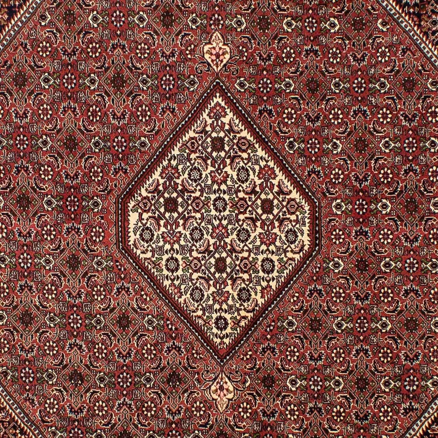 Alfombra persa - Bidjar - 298 x 200 cm - marrón
