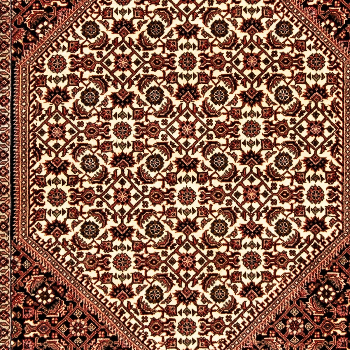 Alfombra de pasillo Alfombra persa - Bidjar - 283 x 80 cm - multicolor