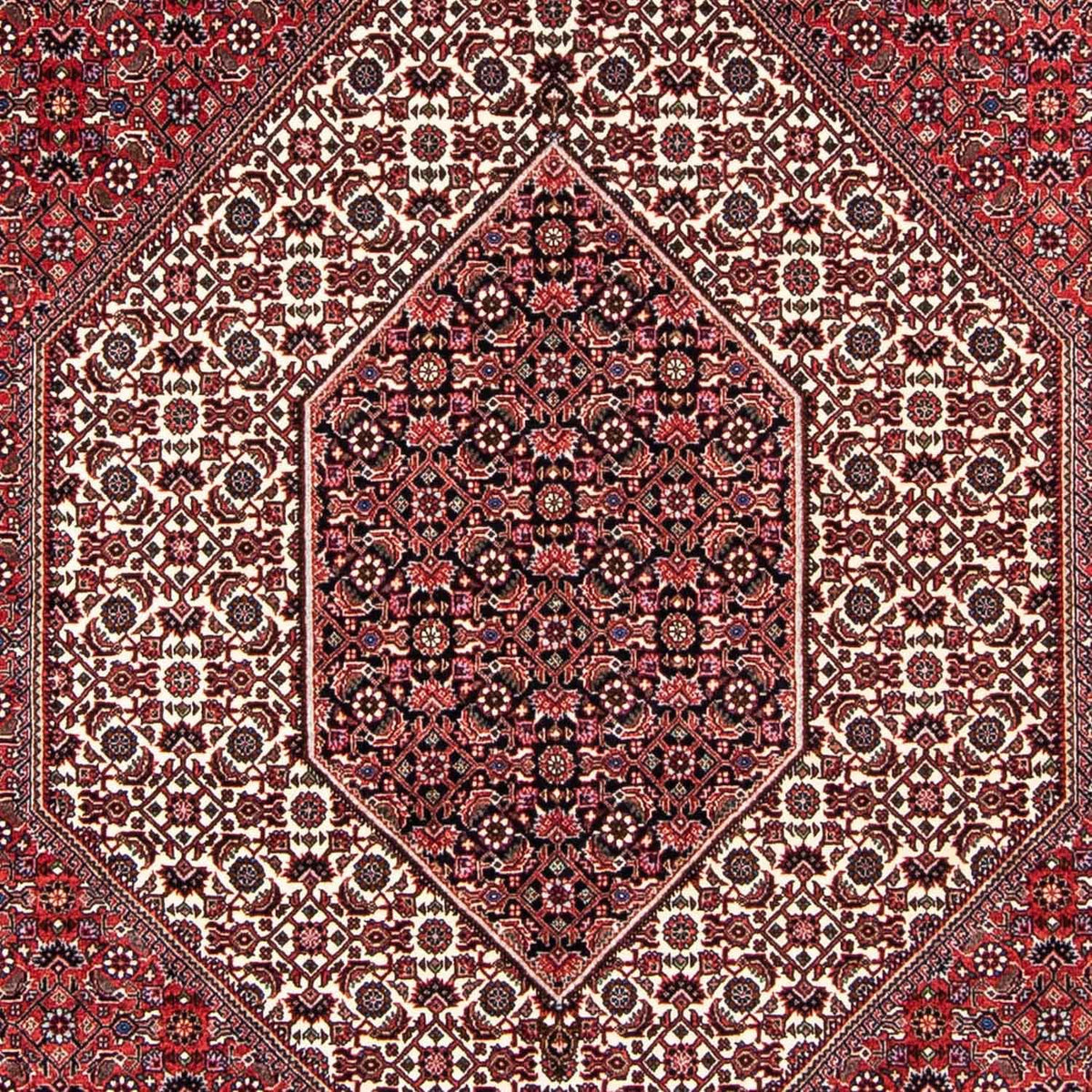 Alfombra persa - Bidjar - 237 x 172 cm - rojo claro
