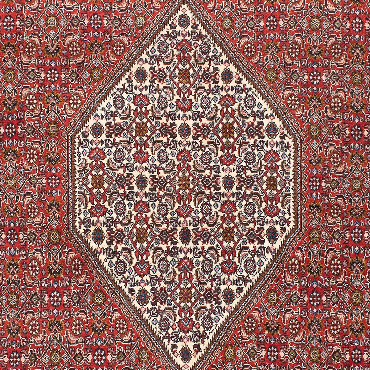 Alfombra persa - Bidjar - 225 x 136 cm - rojo
