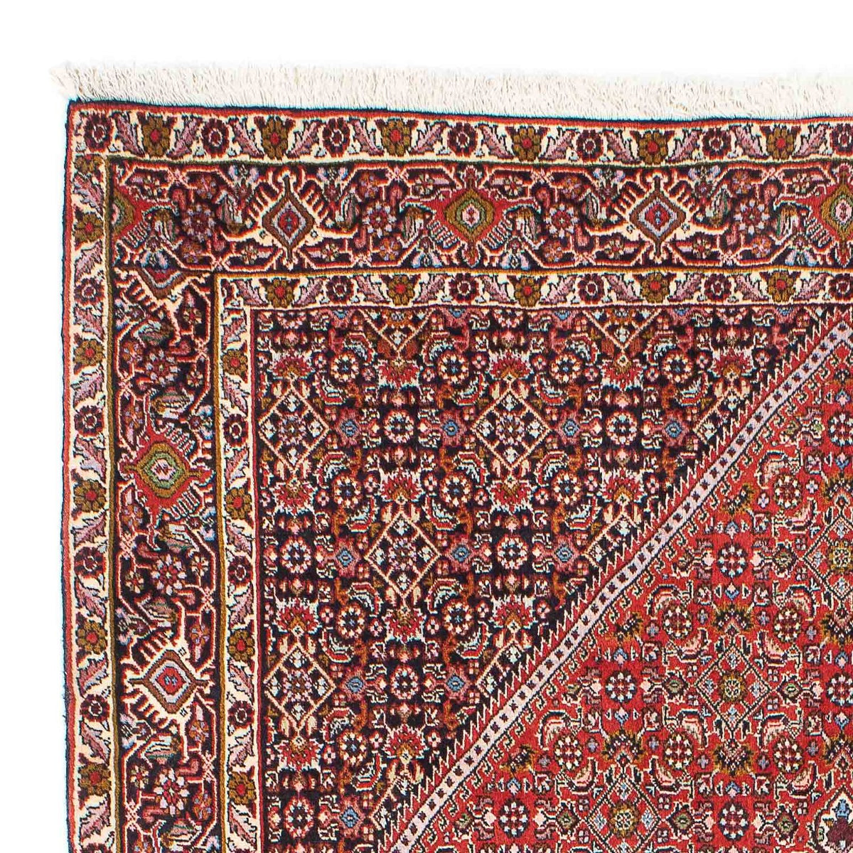 Bidjar - Zanjan Alfombra 136x225cm - Alfombra persa