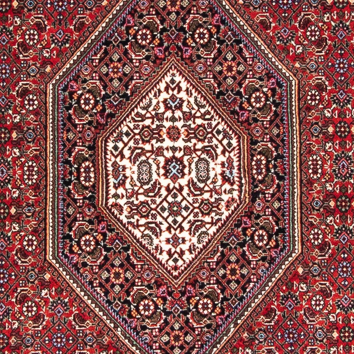 Alfombra persa - Bidjar - 177 x 110 cm - rojo