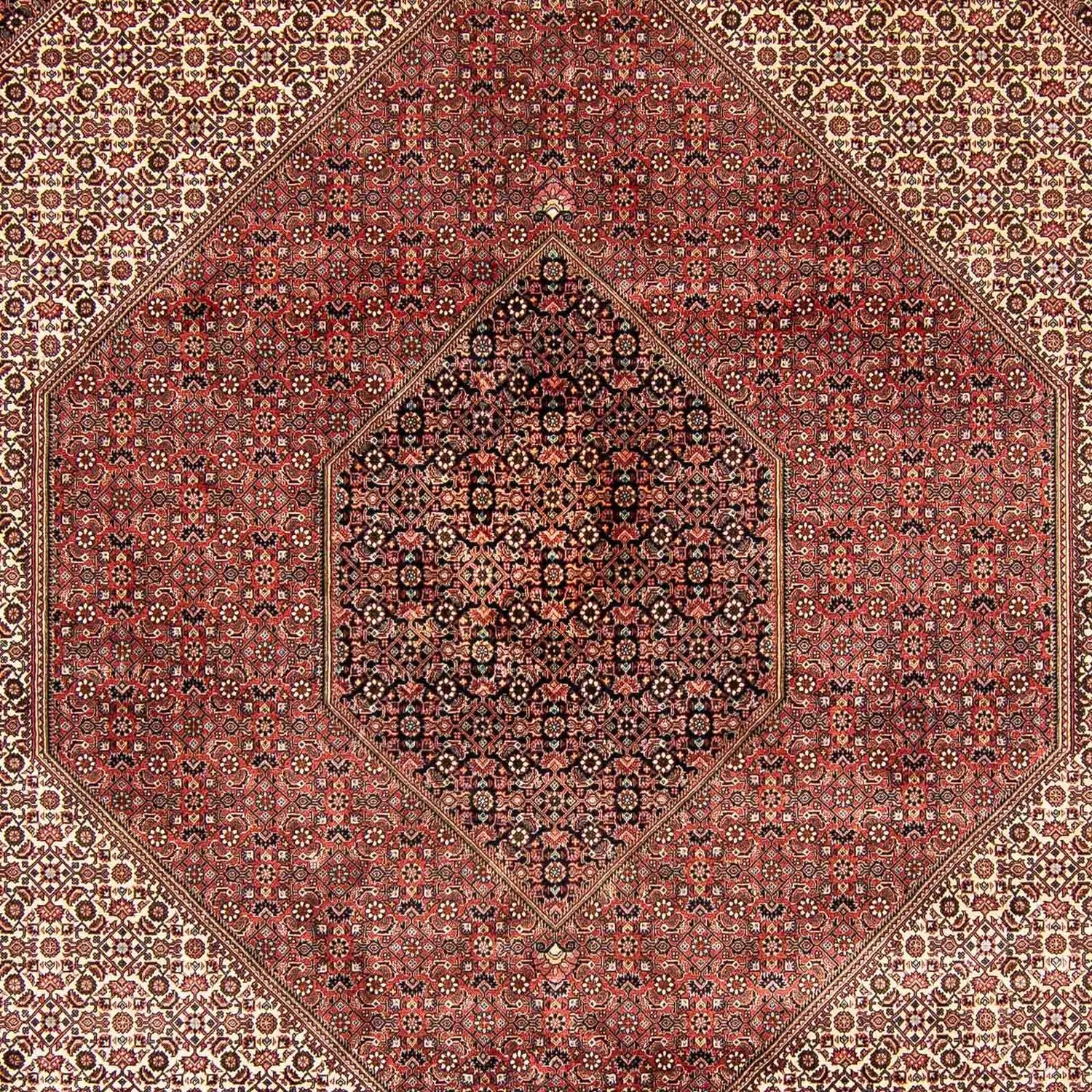 Alfombra persa - Bidjar - 388 x 302 cm - marrón