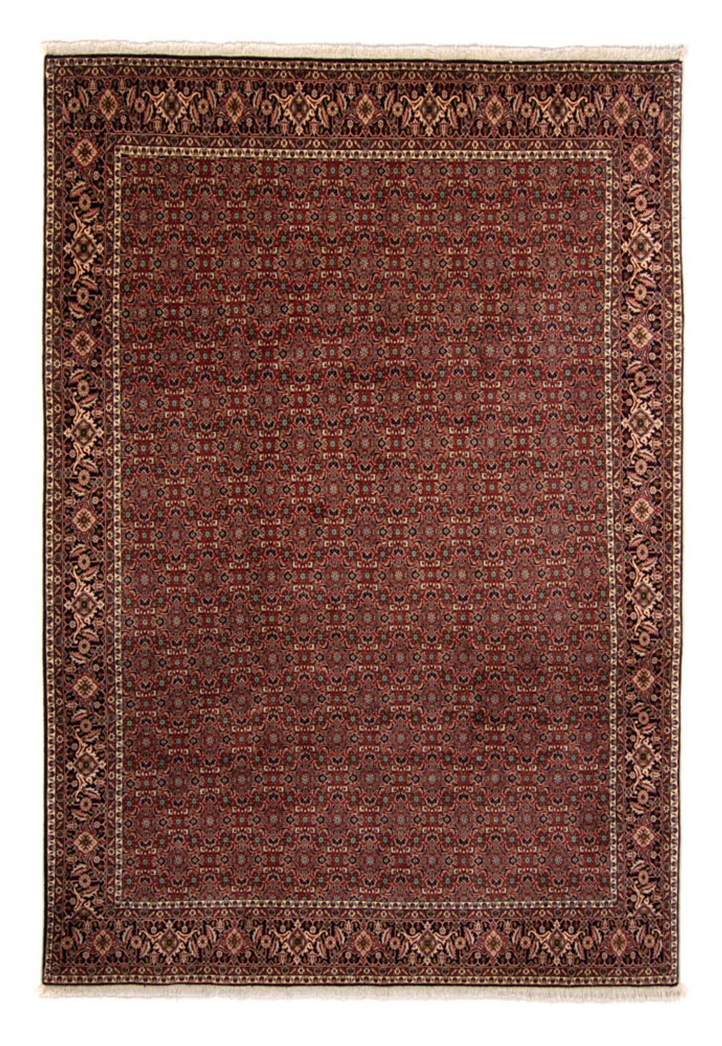 Alfombra persa - Bidjar - 342 x 244 cm - marrón