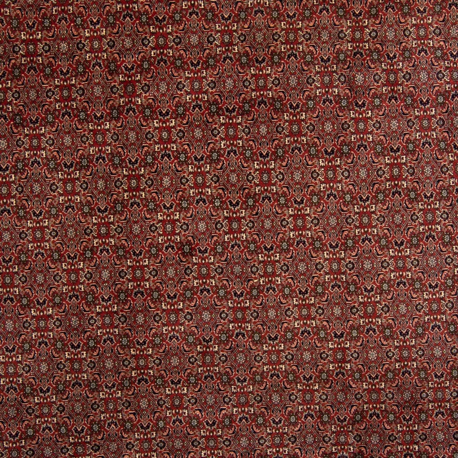 Alfombra persa - Bidjar - 342 x 244 cm - marrón