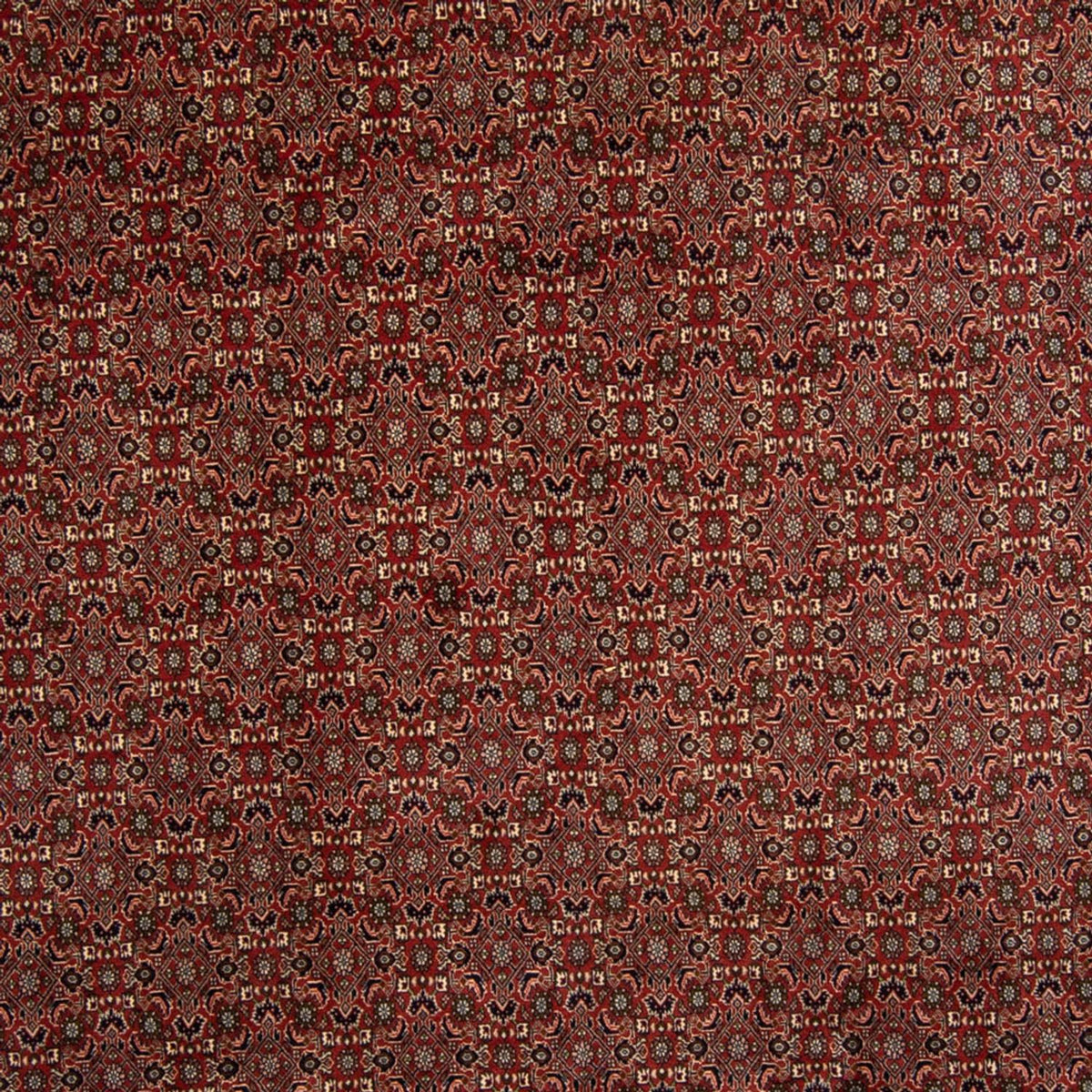 Alfombra persa - Bidjar - 342 x 244 cm - marrón